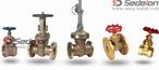 bronze-gate-valve-brass-gate-valves-C95800-C95500-B62-B61